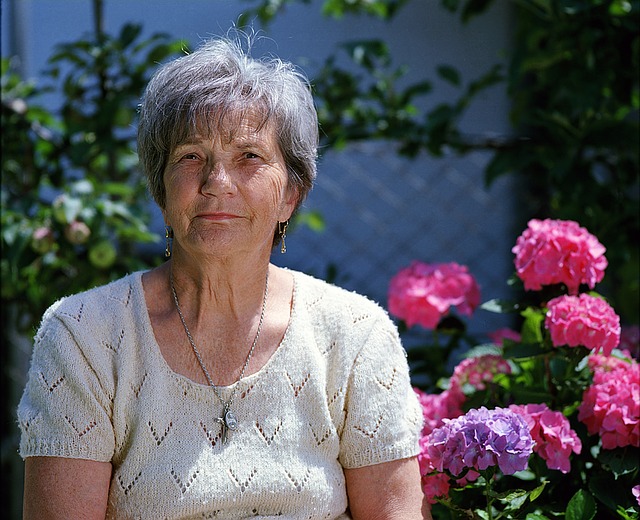 Verpnica D.